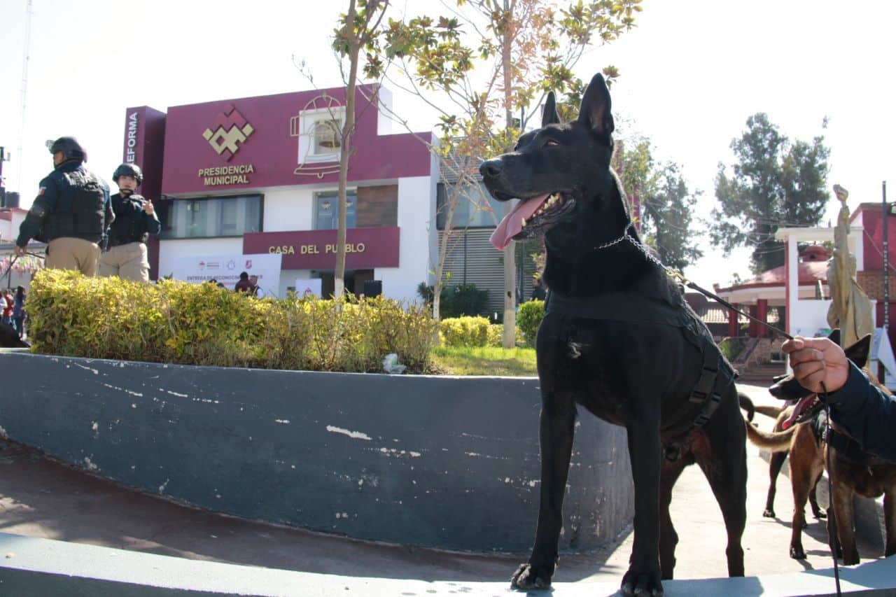 CONSOLIDA MINERAL DE LA REFORMA A SU UNIDAD K9 COMO REFERENTE DE PROFESIONALIZACIÓN Y SEGURIDAD EN HIDALGO